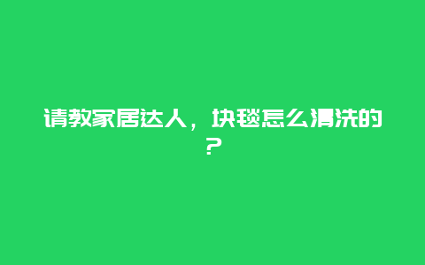 请教家居达人，块毯怎么清洗的？