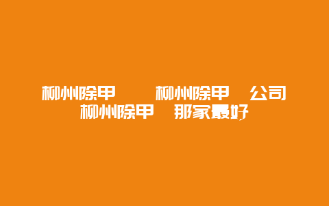 柳州除甲醛丨柳州除甲醛公司丨柳州除甲醛那家最好