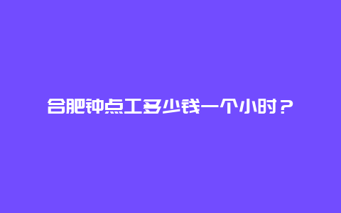 合肥钟点工多少钱一个小时？