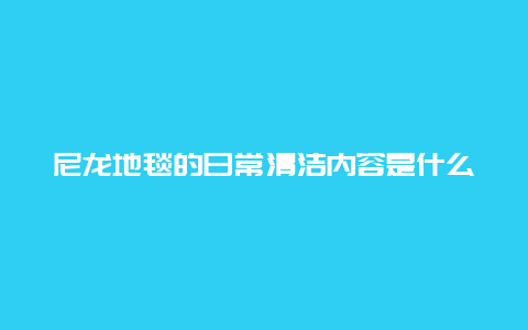 尼龙地毯的日常清洁内容是什么