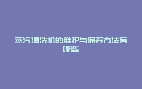 蒸汽清洗机的维护与保养方法有哪些_http://www.365jiazheng.com_保洁卫生_第1张