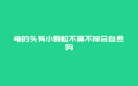 龟的头有小颗粒不痛不痒会自愈吗