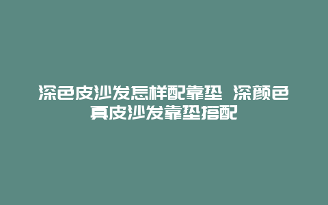 深色皮沙发怎样配靠垫 深颜色真皮沙发靠垫搭配_http://www.365jiazheng.com_保洁卫生_第1张