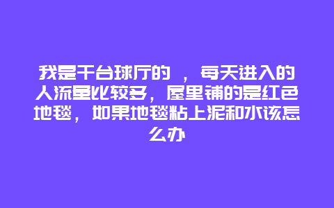 我是干台球厅的 ，每天进入的人流量比较多，屋里铺的是红色地毯，如果地毯粘上泥和水该怎么办