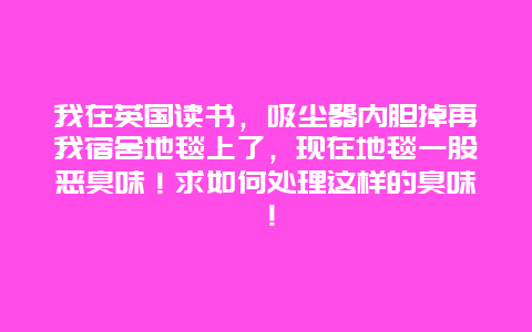 我在英国读书，吸尘器内胆掉再我宿舍地毯上了，现在地毯一股恶臭味！求如何处理这样的臭味！