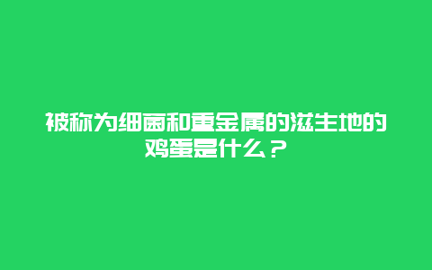 被称为细菌和重金属的滋生地的鸡蛋是什么？