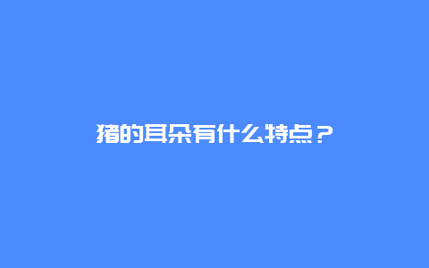 猪的耳朵有什么特点？