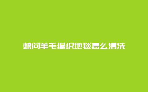 想问羊毛编织地毯怎么清洗