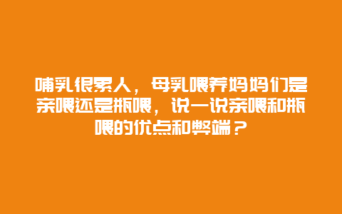 哺乳很累人，母乳喂养妈妈们是亲喂还是瓶喂，说一说亲喂和瓶喂的优点和弊端？