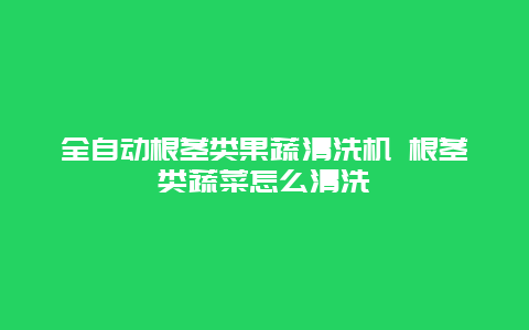 全自动根茎类果蔬清洗机 根茎类蔬菜怎么清洗_http://www.365jiazheng.com_保洁卫生_第1张