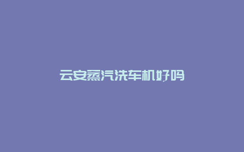 云安蒸汽洗车机好吗