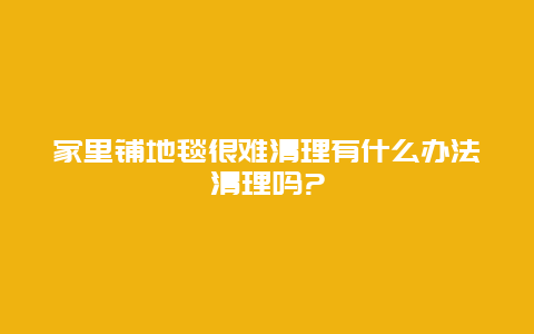 家里铺地毯很难清理有什么办法清理吗?