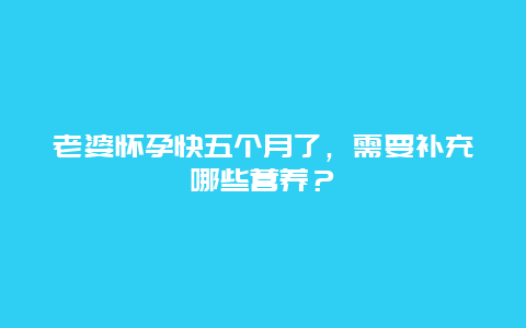 老婆怀孕快五个月了，需要补充哪些营养？