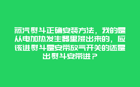 蒸汽熨斗正确安装方法，我的是从电加热发生器里接出来的，应该进熨斗是安带放气开关的还是出熨斗安带进？