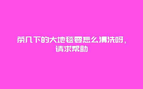 茶几下的大地毯要怎么清洗呀，请求帮助