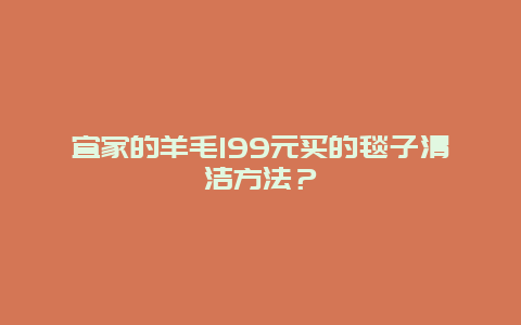 宜家的羊毛199元买的毯子清洁方法？