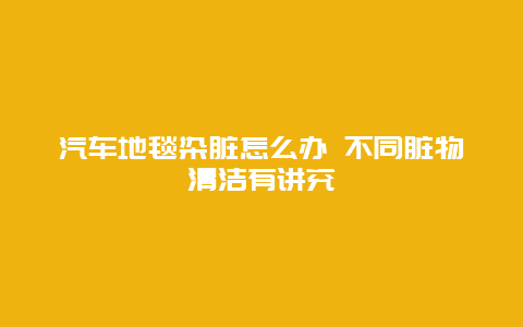 汽车地毯染脏怎么办 不同脏物清洁有讲究