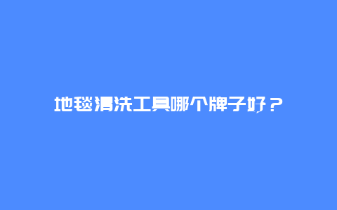 地毯清洗工具哪个牌子好？