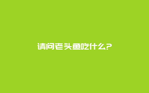 请问老头鱼吃什么?