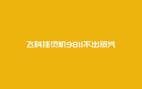 飞科挂烫机9811不出蒸汽