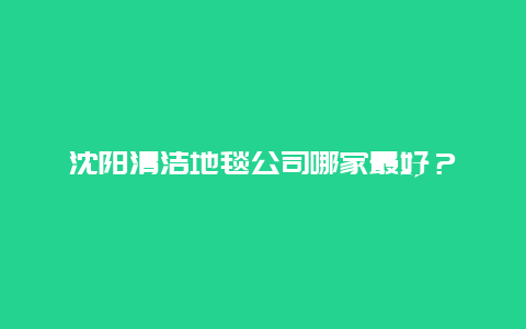 沈阳清洁地毯公司哪家最好？