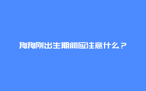 狗狗刚出生期间应注意什么？