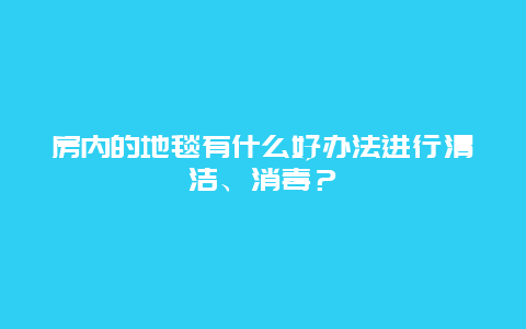 房内的地毯有什么好办法进行清洁、消毒？