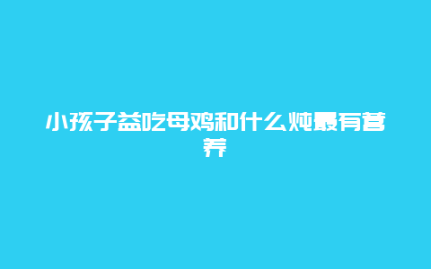 小孩子益吃母鸡和什么炖最有营养