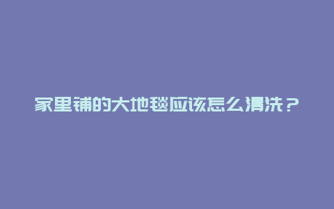 家里铺的大地毯应该怎么清洗？