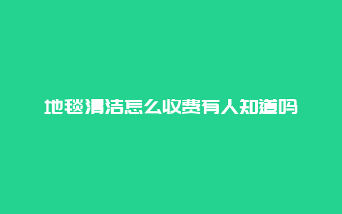 地毯清洁怎么收费有人知道吗