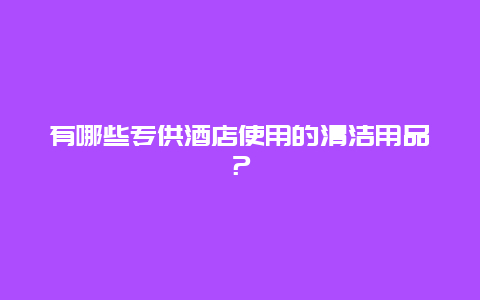 有哪些专供酒店使用的清洁用品？