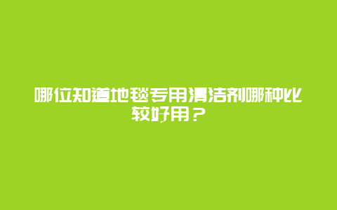 哪位知道地毯专用清洁剂哪种比较好用？