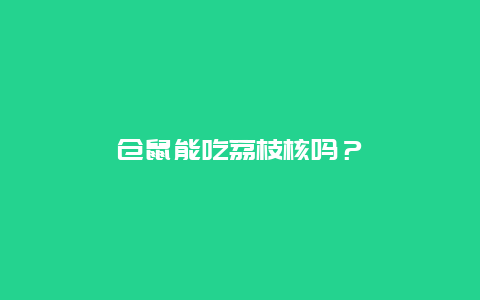 仓鼠能吃荔枝核吗？