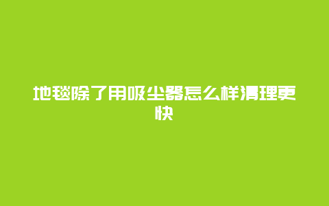 地毯除了用吸尘器怎么样清理更快