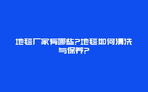 地毯厂家有哪些?地毯如何清洗与保养?