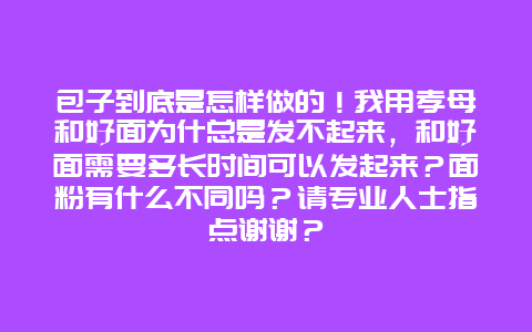 包子到底是怎样做的！我用孝母和好面为什总是发不起来，和好面需要多长时间可以发起来？面粉有什么不同吗？请专业人士指点谢谢？