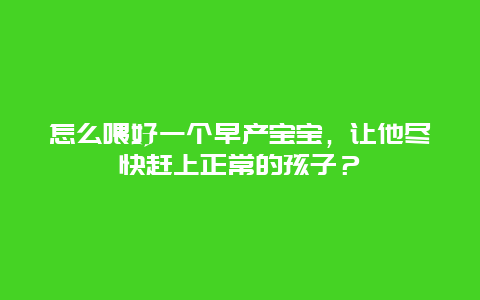 怎么喂好一个早产宝宝，让他尽快赶上正常的孩子？