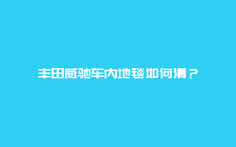 丰田威驰车内地毯如何清？