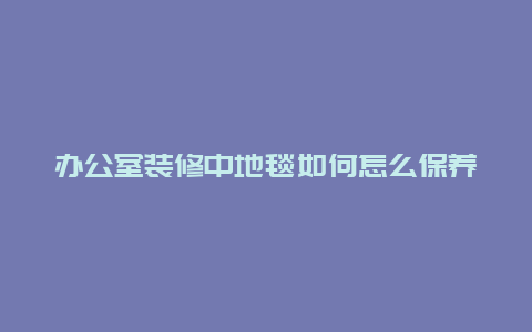 办公室装修中地毯如何怎么保养