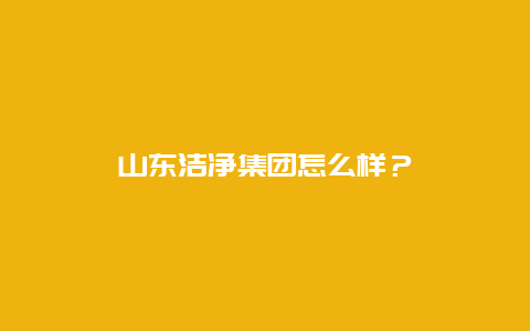 山东洁净集团怎么样？