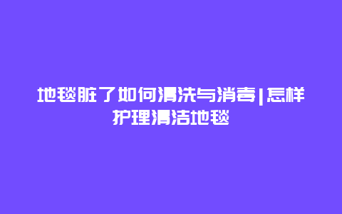 地毯脏了如何清洗与消毒|怎样护理清洁地毯