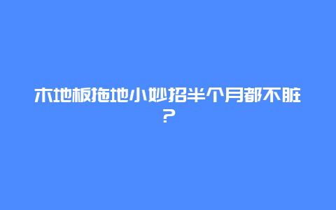 木地板拖地小妙招半个月都不脏？