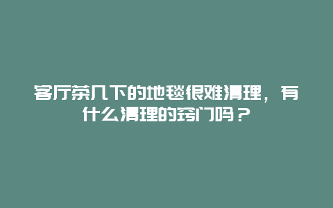 客厅茶几下的地毯很难清理，有什么清理的窍门吗？