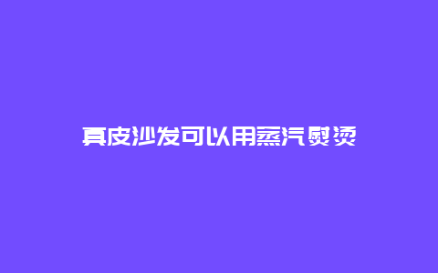 真皮沙发可以用蒸汽熨烫