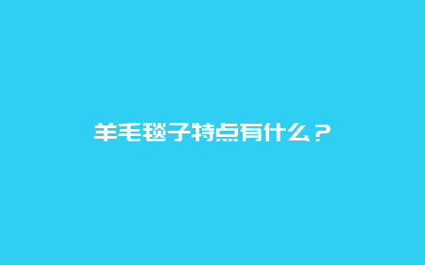 羊毛毯子特点有什么？