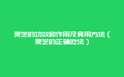 灵芝的功效和作用及食用方法（灵芝的正确吃法）