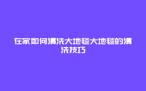 在家如何清洗大地毯大地毯的清洗技巧