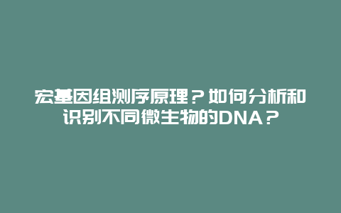 宏基因组测序原理？如何分析和识别不同微生物的DNA？