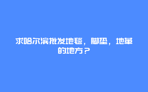 求哈尔滨批发地毯，脚垫，地革的地方？