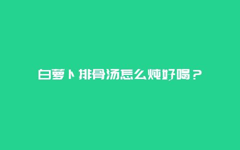 白萝卜排骨汤怎么炖好喝？